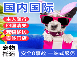 平潭航空邮寄国际宠物托运 【国